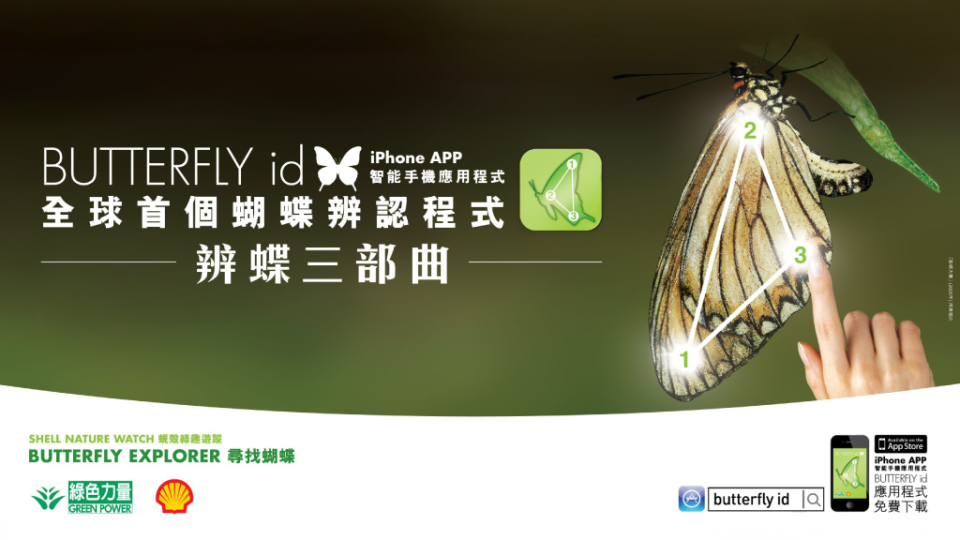 TiNK_Portfolio_FWD_PB_GF_Wealth copy 9